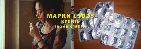 apvp Осинники