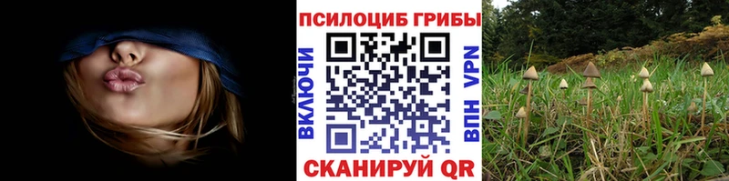 что такое   Поворино  Галлюциногенные грибы прущие грибы 